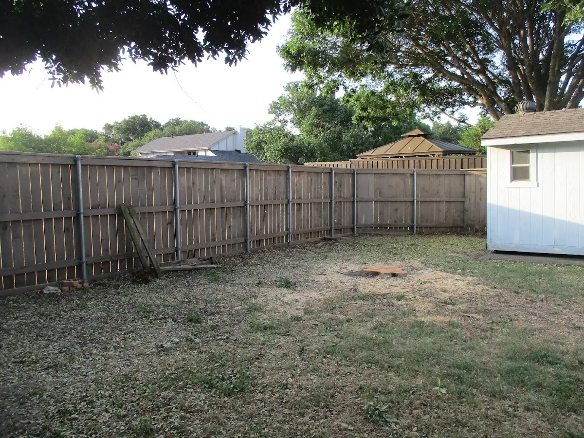 Cleared yard after professional tree removal in Bowmanstown
