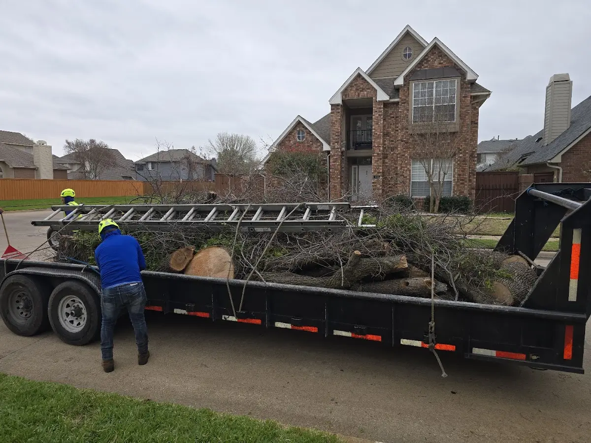 Expert Tree Fertilization with proper safety equipment in Bowmanstown